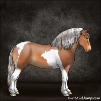 Horse Color:Silver Bay Roan Tobiano 
