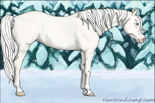 Horse Color:Silver Perlino Roan Dun 