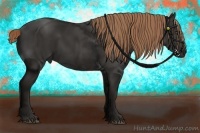 Horse Color:Liver Chestnut Sabino 