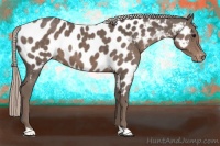 Horse Color:Silver Black Near Leopard