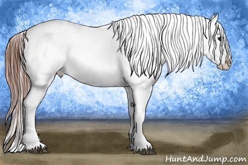 Horse Color:White Spotted Grullo Snowcap Rabicano  Brindle