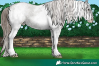 Horse Color:White Spotted Grullo Varnish Rabicano Brindle