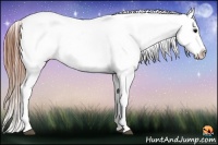 Horse Color:White Spotted Grullo Snowcap Rabicano  Brindle