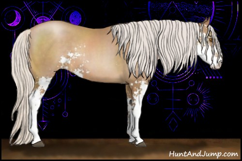 Horse Color:Silver Black Pearl Sabino 