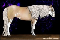 Horse Color:Silver Black Pearl Sabino 