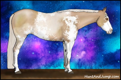 Horse Color:Silver Black Pearl Sabino Rabicano 