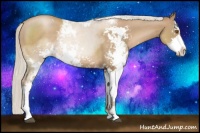 Horse Color:Silver Black Pearl Sabino Rabicano 