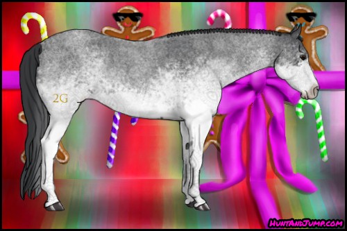 Horse Color:White Spotted Blue Roan 