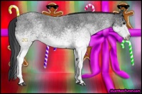 Horse Color:White Spotted Blue Roan 