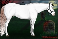 Horse Color:White Spotted Grullo Varnish Rabicano Brindle