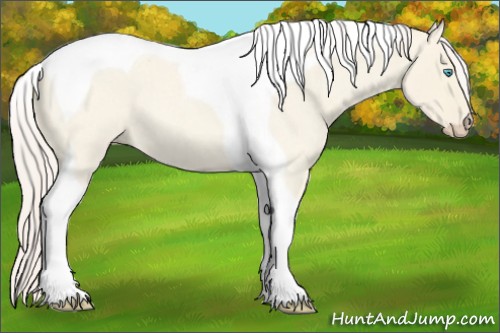 Horse Color:Cremello Roan Dun Tobiano 