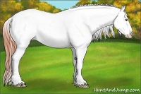 Horse Color:White Spotted Classic Champagne Dun Snowcap Rabicano  Brindle