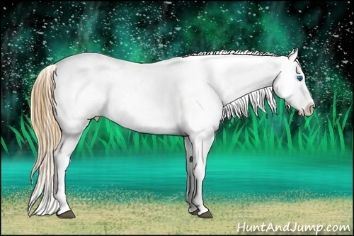 Horse Color:White Spotted Grullo Pearl Splash Appaloosa Rabicano  Brindle