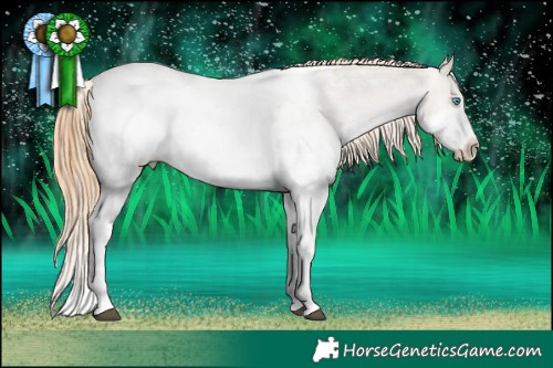 Horse Color:White Spotted Grullo Pearl Splash Snowcap Rabicano Brindle