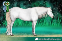 Horse Color:White Spotted Grullo Pearl Splash Snowcap Rabicano  Brindle