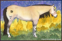 Horse Color:Buckskin Roan Onyx 