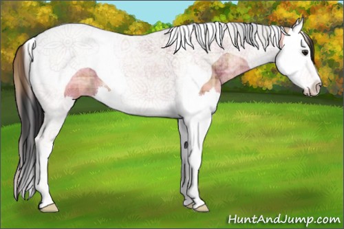 Horse Color:Plaid Bay Ice Splash Tobiano