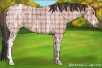 Horse Color:Plaid  Bay Ice 