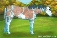 Horse Color:Thunderstruck Bay Ice Roan Splash Frame Appaloosa 