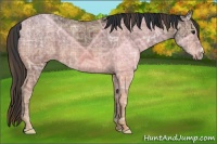 Horse Color:Plaid  Brown Ice 