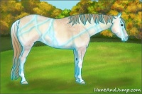 Horse Color:Thunderstruck White Spotted Gold Champagne Ice Onyx 