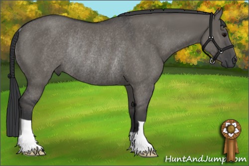 Horse Color:Grullo Rabicano 