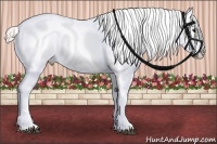Horse Color:White Spotted Silver Grullo Varnish Rabicano  Brindle