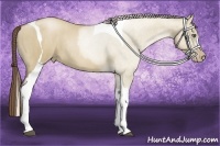 Horse Color:Grullo Pearl Tobiano Rabicano  Brindle