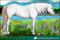 Horse Color:White Spotted Grullo Varnish Rabicano Brindle