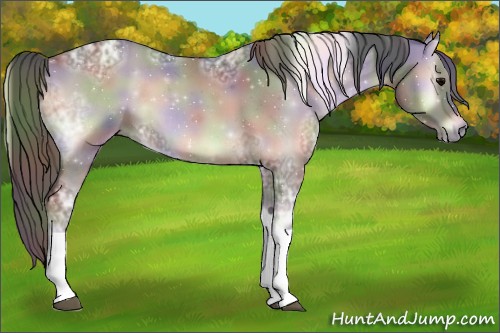 Horse Color:Nacre Smoky Blue Onyx Ice Roan Tobiano