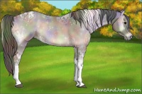 Horse Color:Nacre Smoky Blue Onyx Ice Roan Tobiano