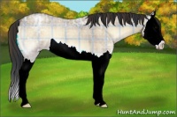 Horse Color:Plaid  Brown Ice Roan Onyx Splash 