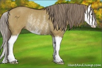 Horse Color:Liver Red Dun Sabino Splash Rabicano 