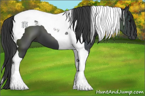 Horse Color:Smoky Black Tobiano 
