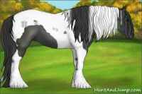 Horse Color:Smoky Black Tobiano 