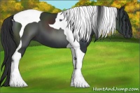 Horse Color:Black Tobiano 