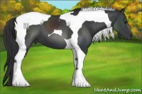 Horse Color:Black Tobiano