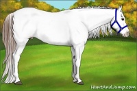 Horse Color:White Spotted Grullo Splash Near Fewspot Rabicano Brindle
