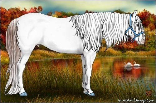 Horse Color:White Spotted Grullo Near Fewspot Rabicano Brindle