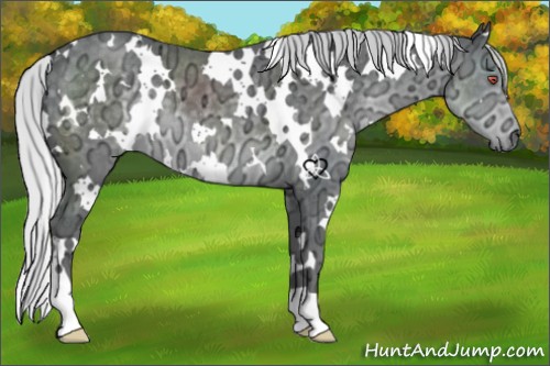 Horse Color:White Spotted Silver Black Chinchilla Ice 