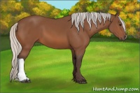 Horse Color:Silver Bay