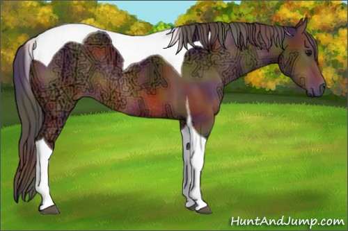 Horse Color:Nacre Bay Ice Tobiano Rabicano
