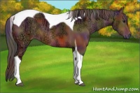 Horse Color:Nacre Bay Ice Tobiano Rabicano