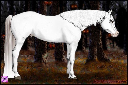 Horse Color:White Spotted Grullo Varnish Rabicano  Brindle