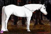 Horse Color:White Spotted Grullo Varnish Rabicano  Brindle