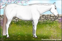Horse Color:White Spotted Grullo Varnish Rabicano  Brindle