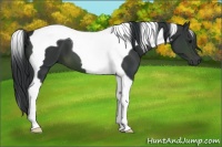 Horse Color:Brown Tobiano