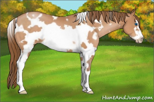 Horse Color:White Spotted Brown Pearl Frame