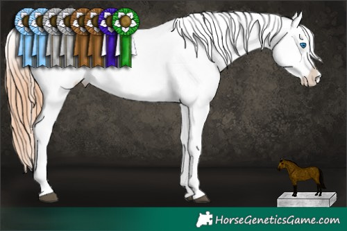 Horse Color:Grullo Splash Appaloosa Rabicano  Brindle