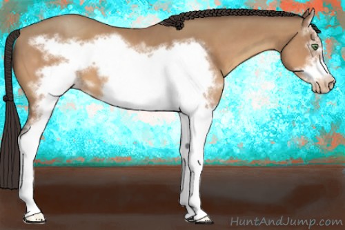 Horse Color:White Spotted Amber Champagne Frame Varnish 